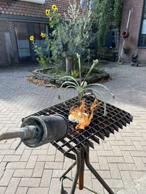 Zoeker patineren